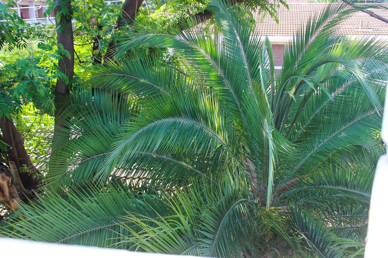 Lolo'S 1Bed Apt-Best Location-2Balconies Harare Exterior photo